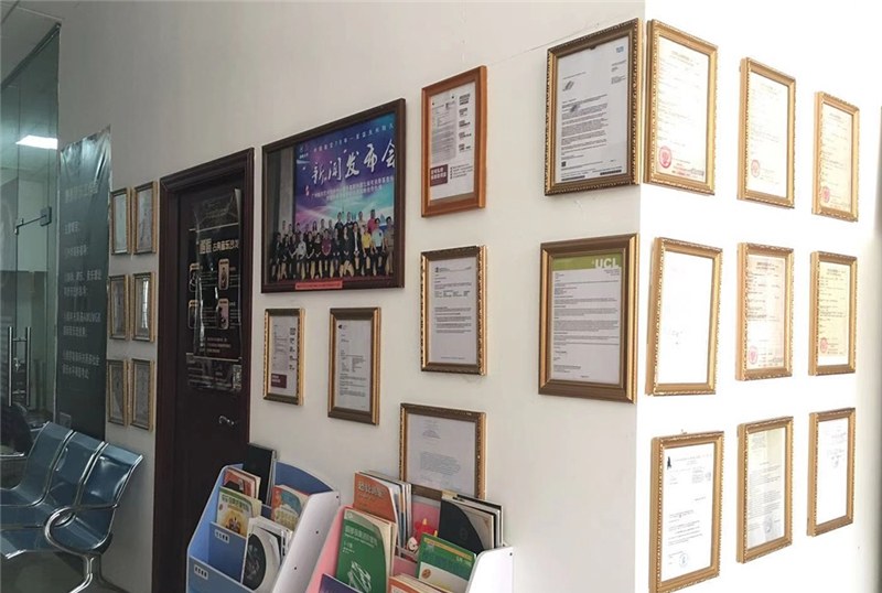 广州西班牙马德里康普顿斯大学本科留学预科项目