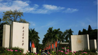 广东凤凰艺术教育