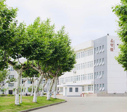 南京宇通实验学校轮播5