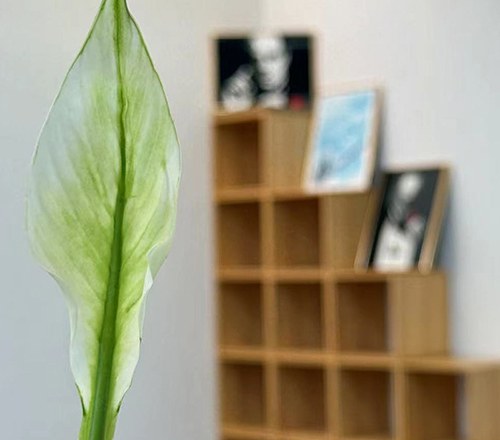 中视传媒教育惠州校区轮播5