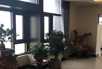 南京法律专硕培训班