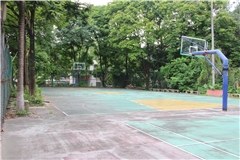 广州尊宠国际宠物美容护理培训学校相册2
