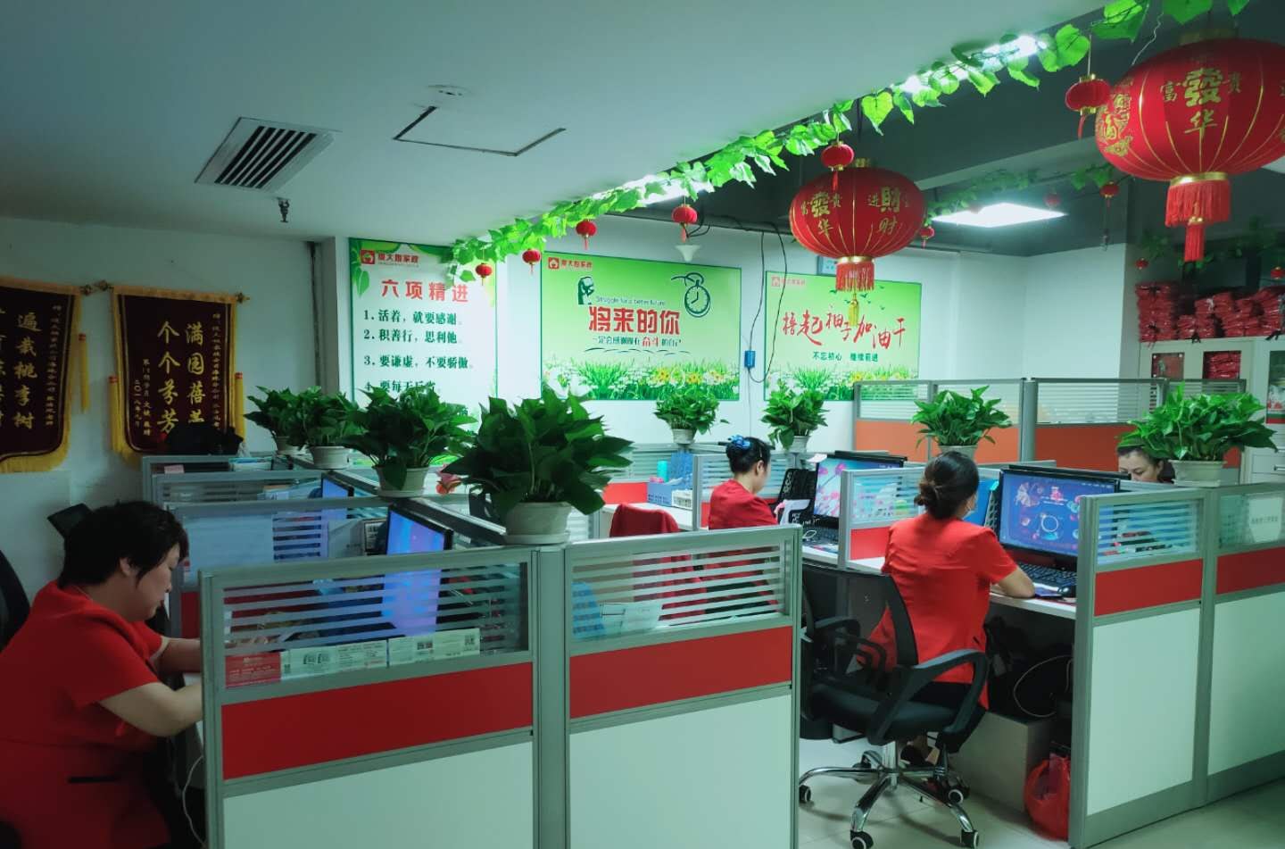 广州傻大姐家政服务培训学校相册2