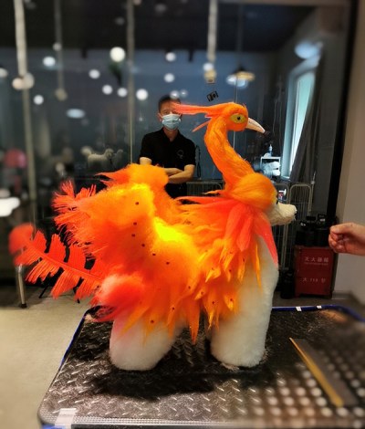 上海派霏尔宠物美容培训学校轮播4