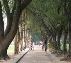 广州昭越教育培训中心