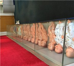 深圳祐兴家政服务培训中心轮播1