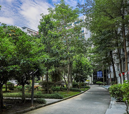 广州谷丰教育培训中心相册2