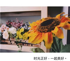 广州SUNNY珊妮美学教育轮播3