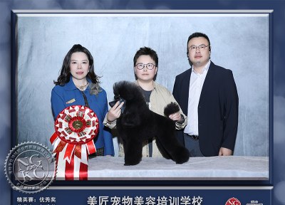 成都美匠宠物美容培训学校轮播3