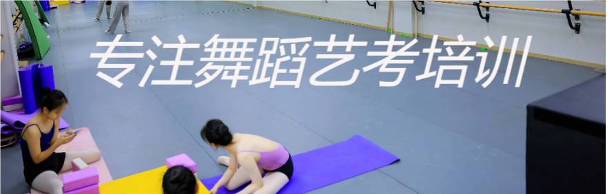 上海艺年艺考训练营轮播2