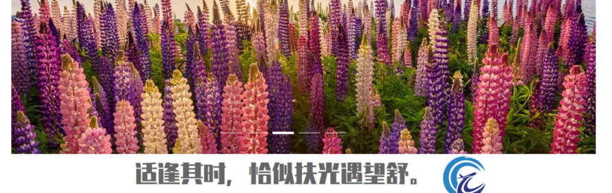 灵犀国际