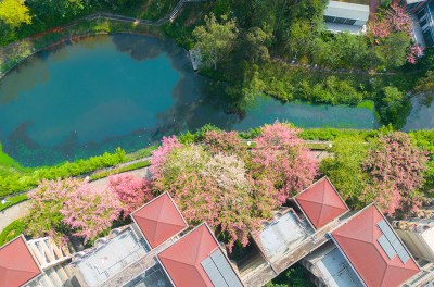 华南师范大学国际商学院佛山招生部轮播3