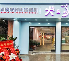 合肥温拿宠物美容学校轮播4