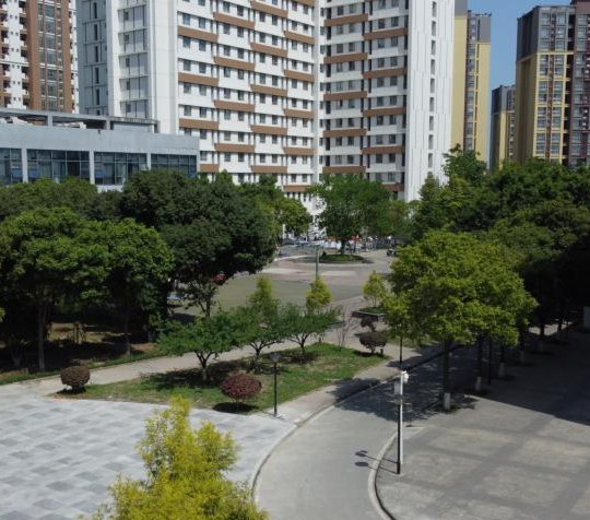 远航留学中心相册2