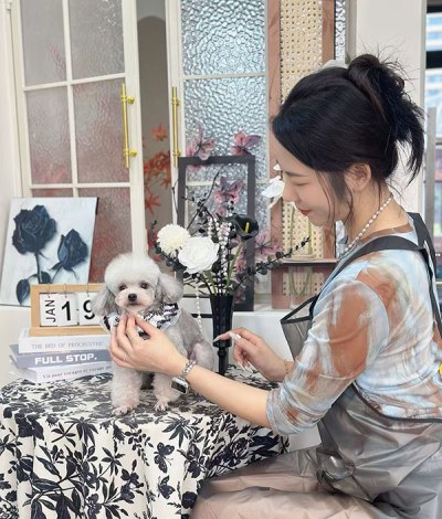 西安IU宠艺宠美培训学校轮播3