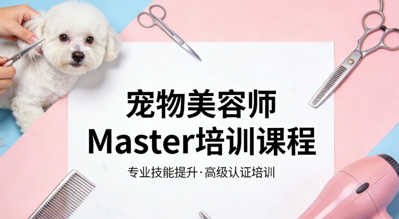 宠物美容师Master培训课程