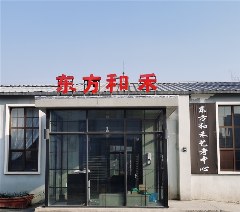 东方和禾艺考中心相册2