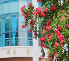 广东实验中学中英国际课程项目轮播5