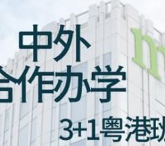 广州涉外港都会申请服务