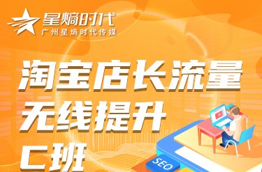 淘宝店长流量无线提升C班