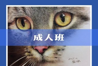 深圳成人美术兴趣班