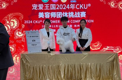 南昌维度宠物美容培训学校轮播4