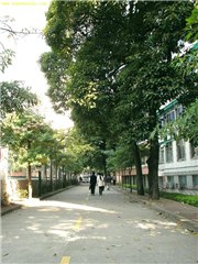 广州瀚文培训学院轮播3