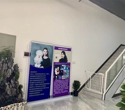 银利国际宠物美容学校相册3