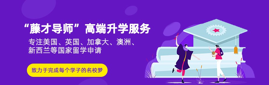 藤才导师