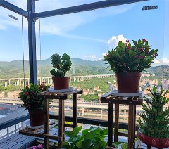 广东衡水升学部相册4
