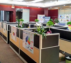 广州澳门留学申请服务