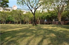 马克汉姆国际教育