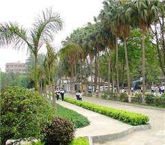 广东省电子商务技师学院相册3