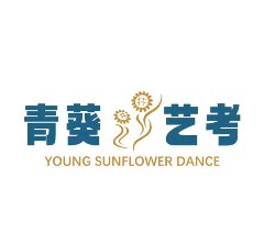 辽宁青葵舞蹈艺考机构轮播2