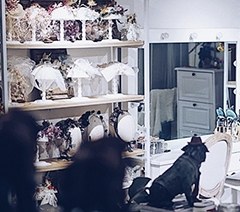 合肥储继雪造型培训学校轮播4