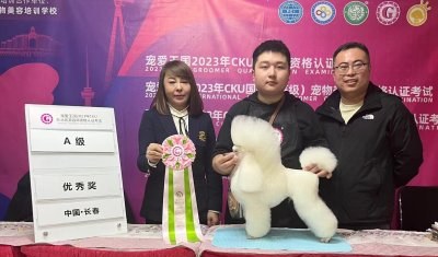 沈阳曼特滔博宠物培训学校轮播5