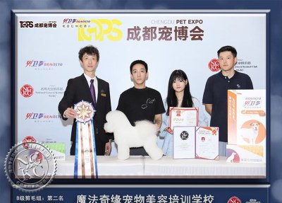 成都魔法奇缘宠物美容培训学校轮播5