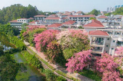 华南师范大学国际商学院佛山招生部轮播4
