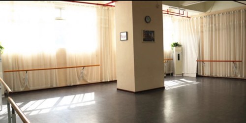 广州纯艺舞蹈学校相册4
