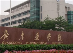 广州科培教育集团轮播4
