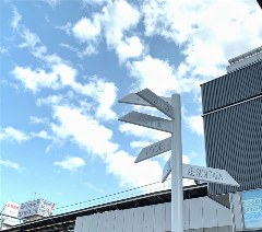 番客教育相册4
