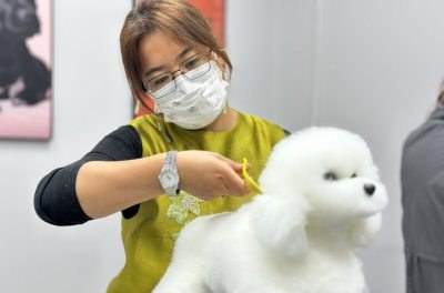 济南派多格宠物美容培训学校轮播5