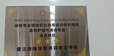 成都魔法奇缘宠物美容培训学校轮播3