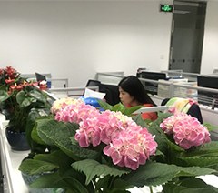 广州飞彼留学服务培训中心轮播3