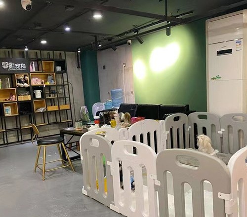 重庆IAMGO宠物美容培训学校轮播4