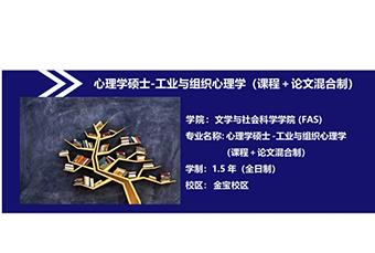 拉曼大学心理学硕士招生简章