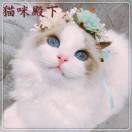 北京京博文电脑培训学校轮播5
