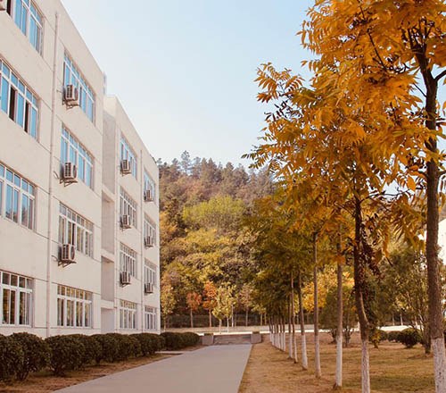 南京宇通实验学校相册4