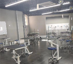 郑州煌极宠物美容培训学校轮播1