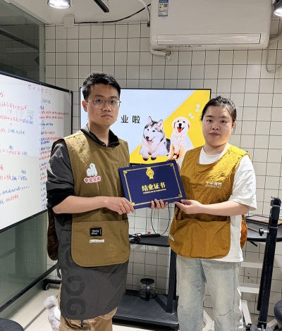 上海辛宝宠物美容培训学校轮播4